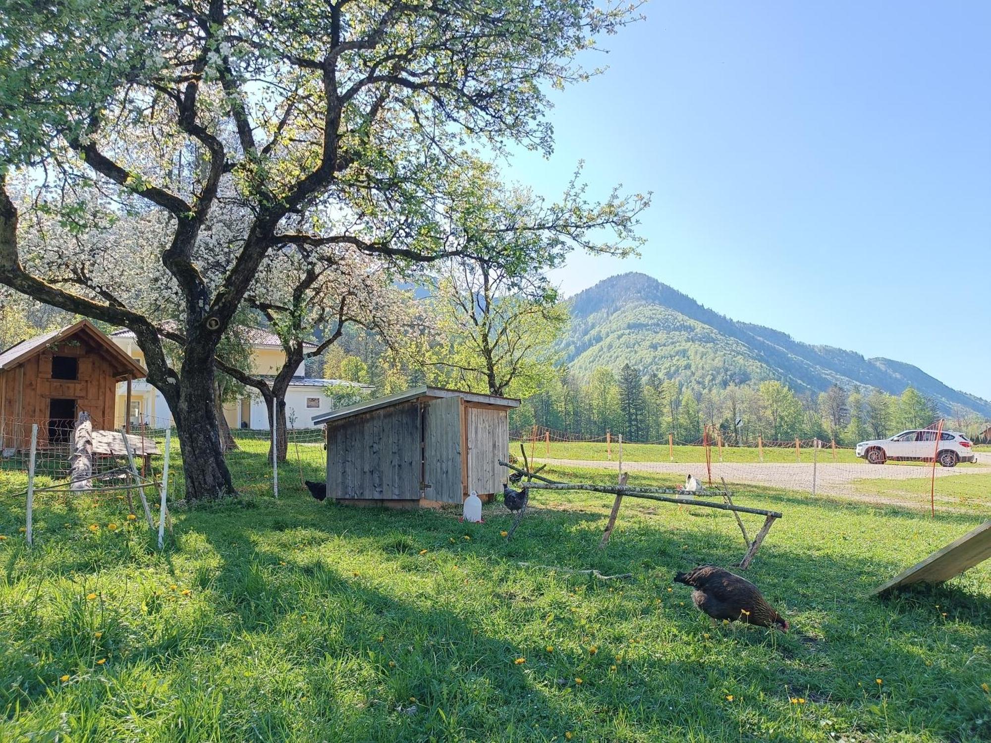 Apartamento Hintererhof Hintersee Exterior foto